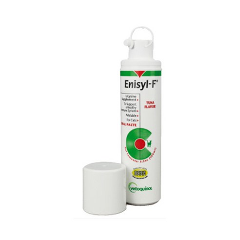 [유통기한 25.01]베토퀴놀 애니실F 100ml/헤르페스 고양이영양제, 애니실F 100ml, 1개