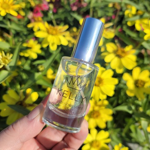 켈리향 섬유향수 룸스프레이 휴대용 섬유탈취제, 라일락, 25ml, 1개