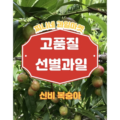 달콤하고 신선한 고품질 신비 복숭아