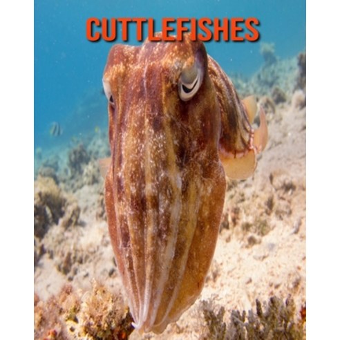 (영문도서) Cuttlefishes: Beautiful Pictures & Interesting Facts Children ...