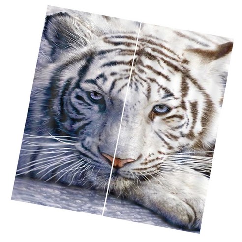 3D 동물 효과 커튼 침실 식당 창 드레이프 배경막 2Panel, Tiger-85x200cm, 설명