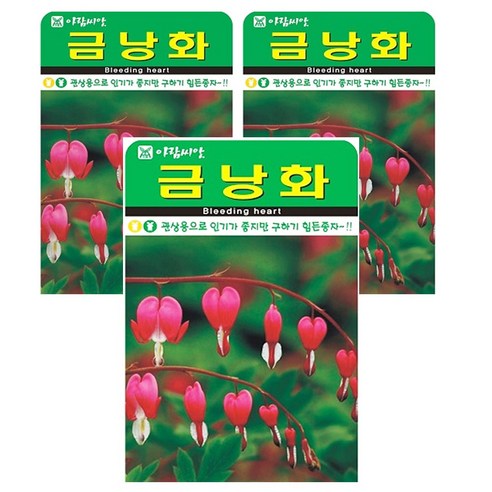 금낭화 3개입 씨앗 꽃씨앗 꽃씨, 3개