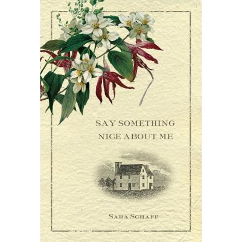 Say Something Nice about Me Paperback, Augury Books, English, 9780988735583