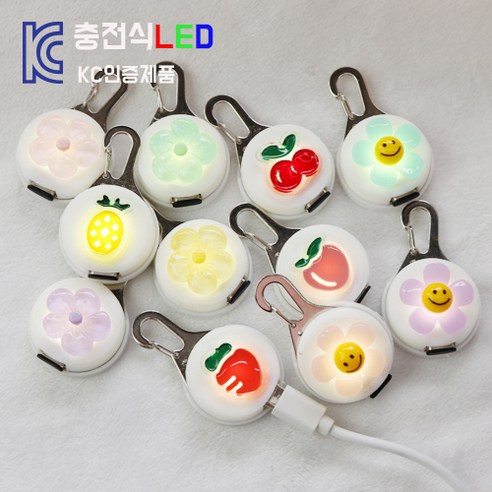 (KC인증제품) 코코아허니 야간산책필수품 강아지인식표 이름표 네임테그 C타입충전식LED 이름표 led이름표_후르츠플라워고정고리형LED, 후르츠_당근, 1개