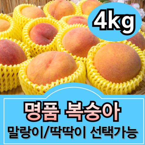 [압도적 크기] 황도 백도 복숭아 말랑이 딱딱이, 1박스, [딱딱이] 로얄과 4kg