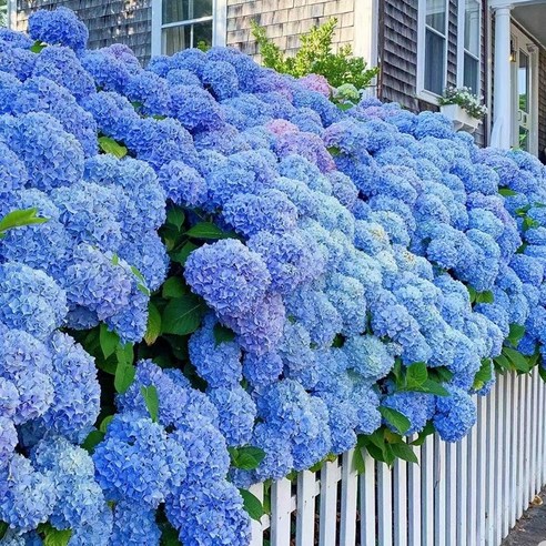 칙칙한 베란다, 생기 넘치는 나만의 정원으로!