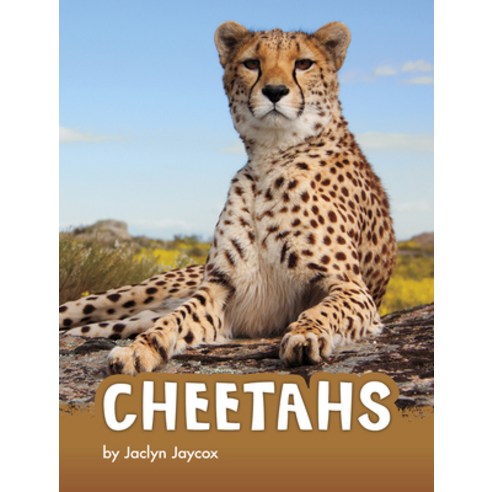 Cheetahs Library Binding, Pebble Books