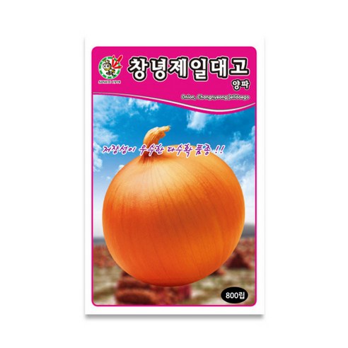 창녕제일대고양파 씨앗 채소 양파종자(800립) MK151