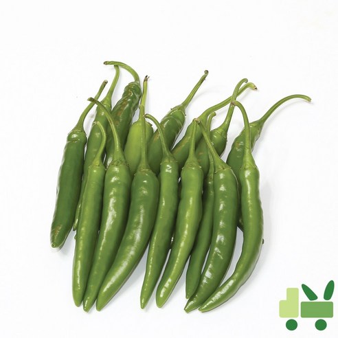 사라상회 청양고추 10Kg (특) - 고추 | 쿠팡