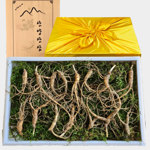 [한국명품산삼] 진짜 100% 지리산 산양삼 5-6년근 산지직송 선물용 장뇌삼 산양산삼 - 인삼/수삼/장뇌삼 | 쿠팡