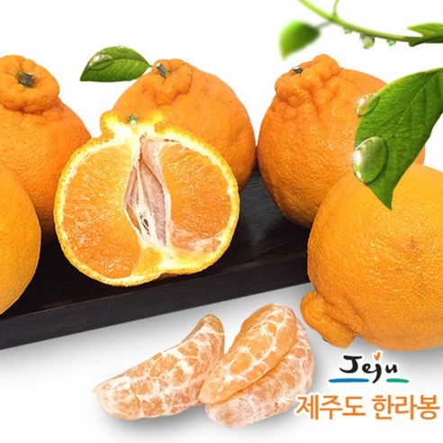 [KT알파쇼핑][올찬농산] 한라봉(특대/대) 3kg(8~10과)_제주직송, 1개