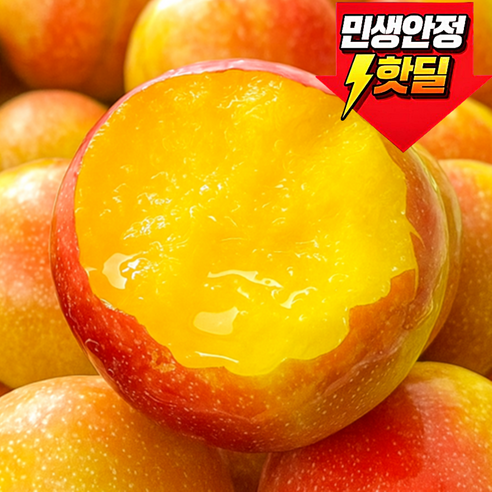 [첫수확초특가] 과즙폭발 자두 가정용 햇자두