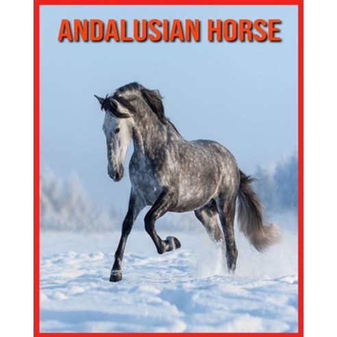 Andalusian Horse: Amazing Photos & Fun Facts Book About Andalusian Horse For Kids Paperback, Independently Published, English, 9798706616090