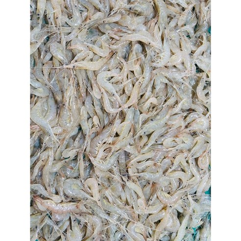 자연산 민물새우의 신선함과 풍부한 맛을 집에서 즐기세요