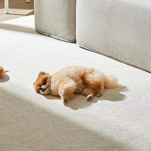 우아함과 실용성을 겸비한 고급 러그