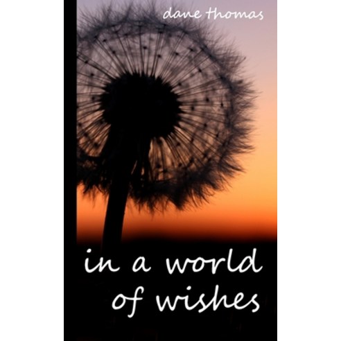 In a world of wishes Paperback, Independently Published