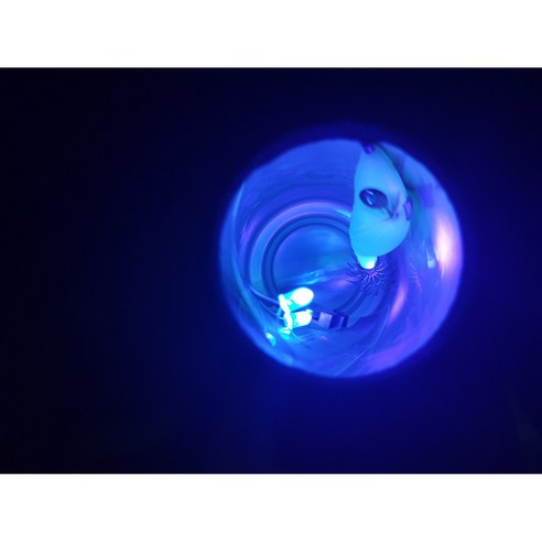 어둠 속에서 성공적인 밤낚시를 위한 필수품