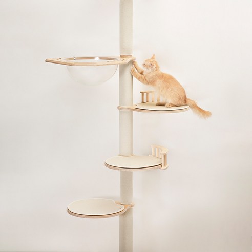 튼튼함과 디자인 모두 잡은 그린웨일 P1 캣타워, 대형묘도 안심!