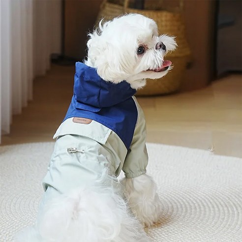 컴인펫 반려동물 힙한 강아지 옷 바람막이 점퍼, 1개, 블루