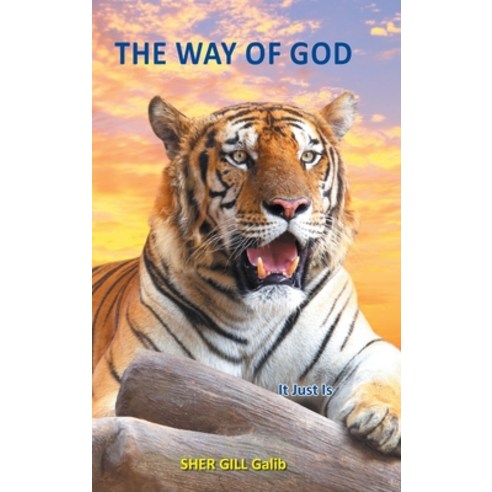 (영문도서) The Way of God: It Just Is Hardcover, Grosvenor House Publishing ..., English, 9781803813325