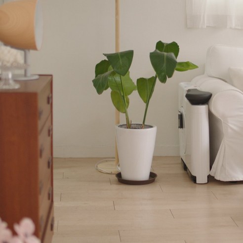 층간소음 걱정 없이 내 방 안 헬스장 완성!