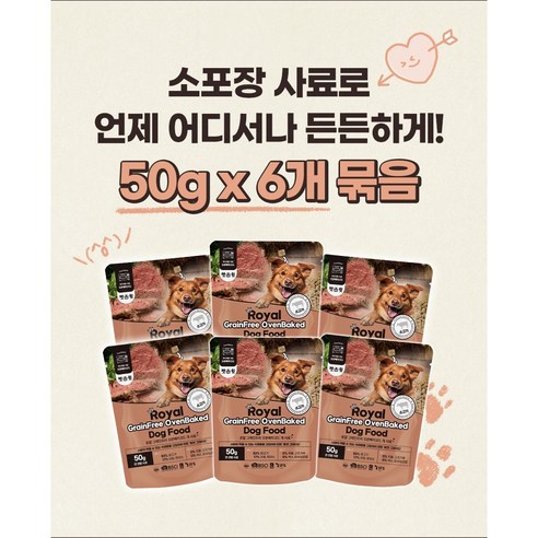 강아지를 위한 최고의 선택