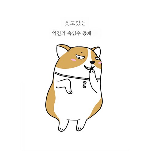 DFMEI 캐릭터 큐티 커튼 방진 덧신 벨크로 신발장 옷장 잿빛 커튼 부착발 셀프스티칭 면제, DFMEI 스타일 21., 넓은 40 * 높은 60cm