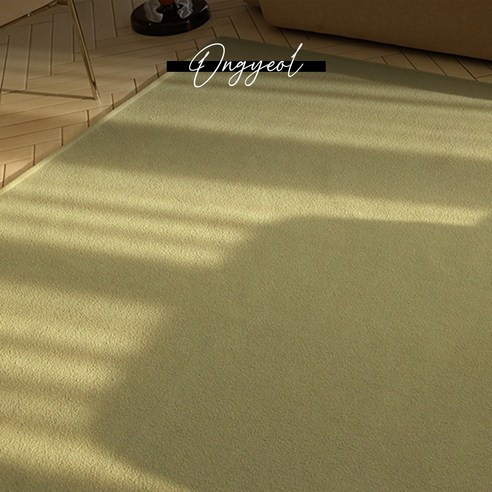 아늑한 집안을 위한 완벽한 러그