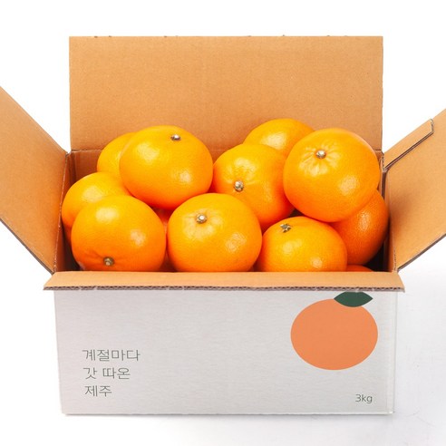 깨비농원 제주 천혜향, 1box, 천혜향 2.5kg 소과(16-20과)