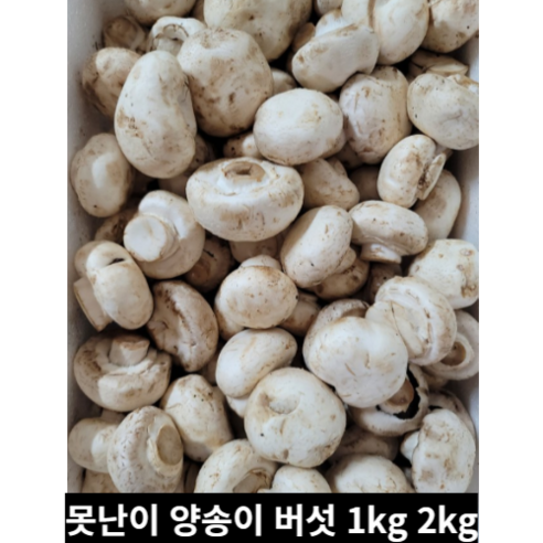 [농가직송] 못난이 양송이버섯, 1개, 1kg