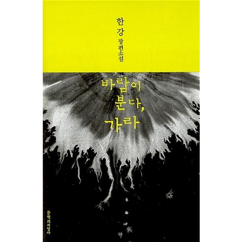 바람이 분다 가라 - 제13회 동리문학상 수상작 한강 책, 문학과지성사