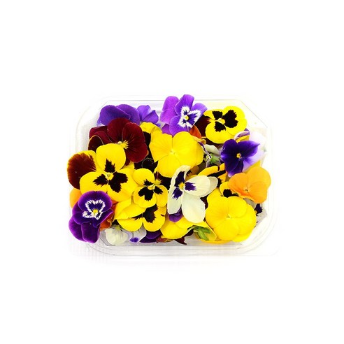 식용꽃: 시각적 아름다움과 건강상의 이점