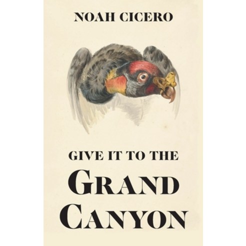Give It to the Grand Canyon Paperback, Philosophical Idiot, English, 9781732292215