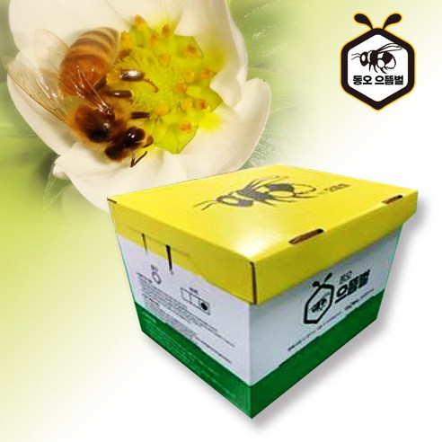 국내 수정벌, 농업의 새로운 동반자 수정벌