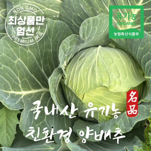 유기농 친환경 양배추 황토밭 국산 양배추 3kg 5kg, 1박스, 황토밭 유기농 양배추 5kg
