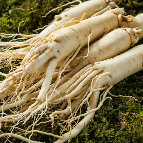 자연의 힘으로 건강을 되찾다