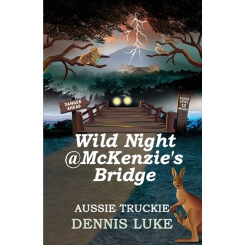 (영문도서) Wild Night @ McKenzie''s Bridge Paperback, Aurora House, English, 9781922697882