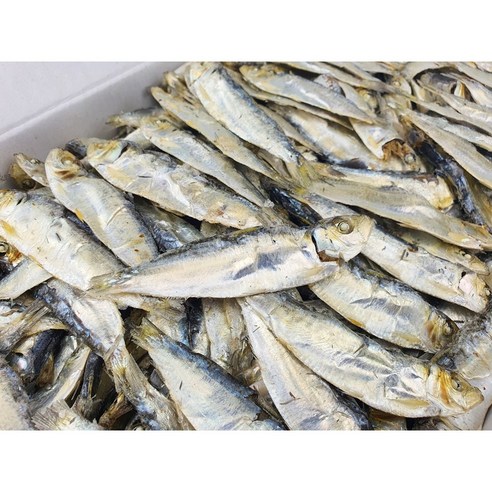 국물용디포리 육수용밴댕이 1.5kg 원물박스 9-11사이즈, 1개