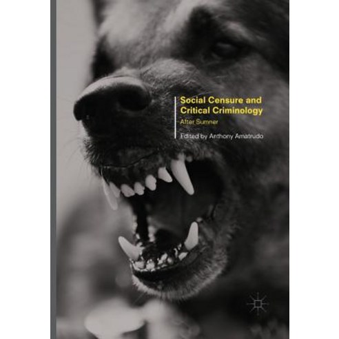 (영문도서) Social Censure and Critical Criminology: After Sumner Paperback, Palgrave MacMillan, English, 9781349957651