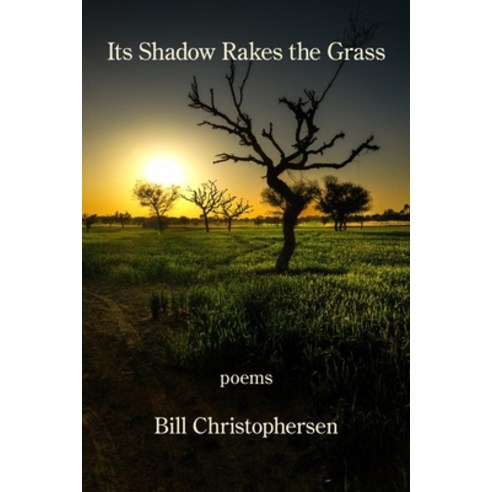 (영문도서) Its Shadow Rakes the Grass Paperback, Kelsay Books, English, 9781639803446
