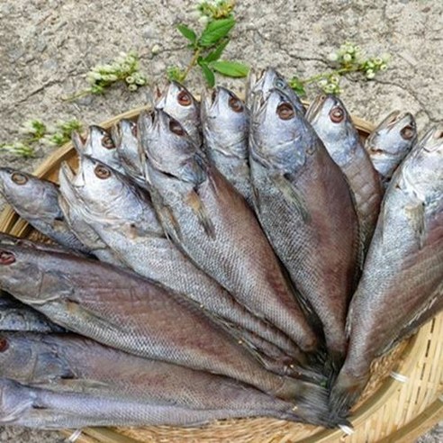 여수 자연산 반건조민어 제수용 특대 2마리 (35cm내외), 2개
