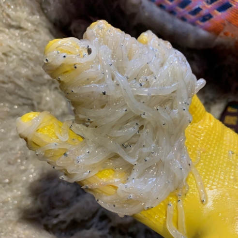 봄의 전령사, 실치: 미식가를 사로잡는 특별한 경험 실치회택배