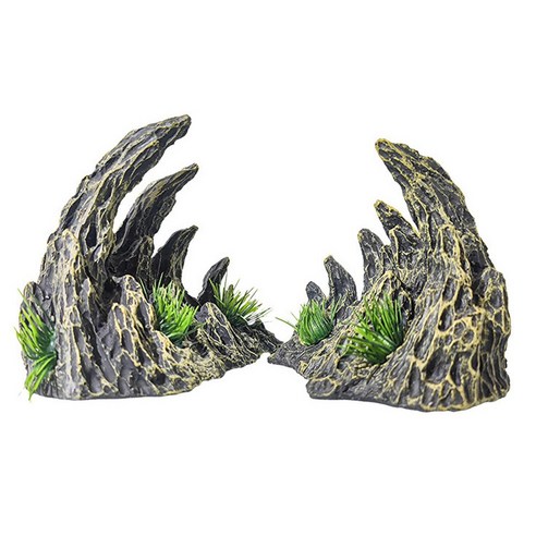 자연의 풍경을 수조에서 느끼다