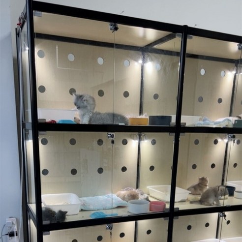튼튼한 소재와 견고한 구조, 접이식 디자인, 2중 잠금 장치를 갖춘 애견호텔장 분양장 강아지 고양이 병원호텔장 펫샵 유치원 케이지