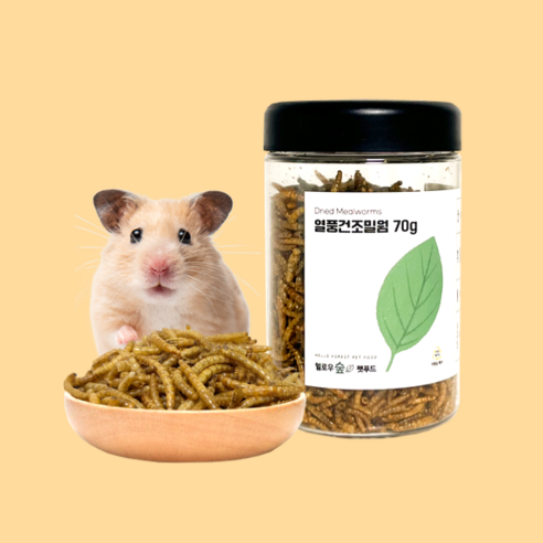 헬로우숲 열풍건조 밀웜 간식, 3통, 70g