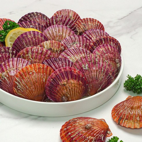 신선한 홍가리비로 바다의 맛을 집에서 즐기세요