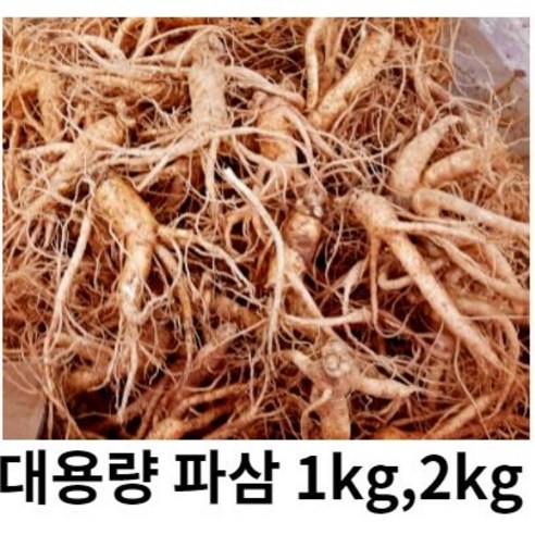 금산 인삼 파삼 5년근 수삼 국내산 1kg 2kg 파삼 막삼 흠있는 못생긴 인삼 대용량, 1kg(세척O), 1개