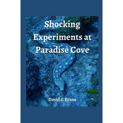 (영문도서) Shocking Experience at Paradise Cove Paperback, Independently Published, English, 9798844629389