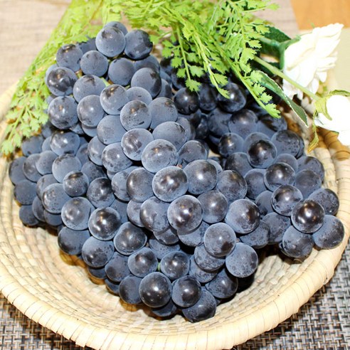 새콤달콤한 남원춘향골/흥부골 캠벨포도(보통) 3kg 1박스 자연대로팜웨이, 캠벨포도(보통)3kg, 1개