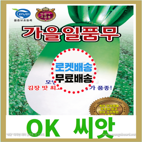 [OK씨앗] [가을일품무] 김장무씨앗(오케이씨앗), 1개